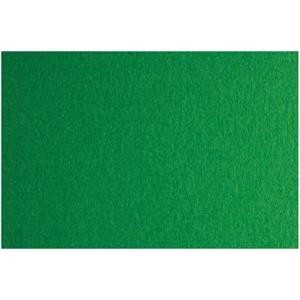 Papir u boji B1 200g Bristol Color pk10 Fabriano 41A zeleni