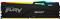 Kingston Fury Beast Black RGB EXPO 32GB [1x32GB 5600MHz DDR5 CL36 DIMM]