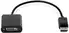 PC DOD HP DisplayPort to DVI-D Adapter, FH973AA