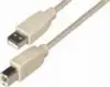 USB kabel 3m, AM - BM, Transmedia C142-3HL, bež