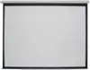 Projekcijsko platno EliteScreens M99NWS1 99" 1:1 (zidno)