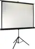 Projekcijsko platno EliteScreens T99NWS1 1:1 178x178 stalak