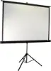 PPL BENQ ELITE-SCREENS 113" 1:1 (na stalku)