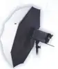 Brolly Box, transparentan