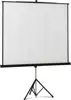 Platno PROJECTA PROVIEW 160x160 (na stalku)