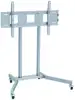 Transmedia HP 1 B, LCD Plasma Pedestal, for screens 32-50" 81-127 cm bears weight up to 40 kg, silver coloured, height: 1250 mm, pedestal: 970x700 mm, rail length: 505 mm, compliant for VESA standard