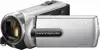 Sony kamkorder DCR-SX21E, srebrni