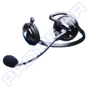 Samsung Pleomax Pleomax PHS-2100