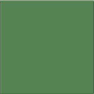 Papir u boji B1 200g Bristol Color pk10 Connect 41A zeleni