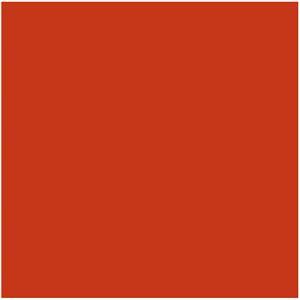 Papir u boji B1 200g Bristol Color pk10 Connect 250 crveni
