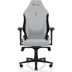 Stolica SecretLab Titan Evo, Small, NEO Hybrid Leatherette, Ash