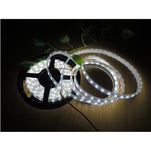 EcoVision LED traka 5m, 3528, 120 LED/m, 9.6W/m, 24V DC, 6000K, IP67