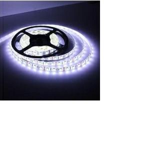 EcoVision LED traka 5m, 2835, 120LED/m, 14.4W/m, 24V DC, 4000K, IP67