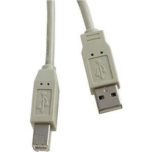 USB kabel 3m, AM - BM, Roline, bež