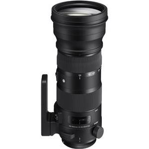 AF 150-600MM F/5-6.3 S (740) + Tele Converter TC-1401 (879) F/Canon