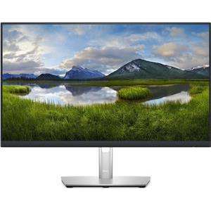 Dell Flat Panel 24