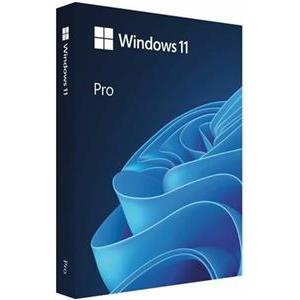 FPP Windows 11 Pro 64-bit Eng USB, HAV-00163