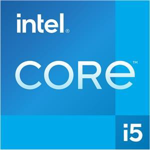 Intel S1700 CORE i5-12400F TRAY 6x2,5 65W GEN12