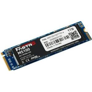 1 TB SSD MEGA FASTRO MS100 M.2 NVMe Gen3 x4 2100/1700