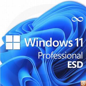 Microsoft Windows 11 Pro 64 Bit - 1 PC - ESD-Download ESD, FQC-10572