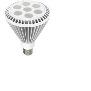 LED EcoVision žarulja PAR30HP E27, 9W, 4000-4500K - neutralna bijela, bijela