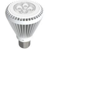 LED EcoVision žarulja PAR22HP E27, 7W, 2700-3000K - topla bijela, bijela