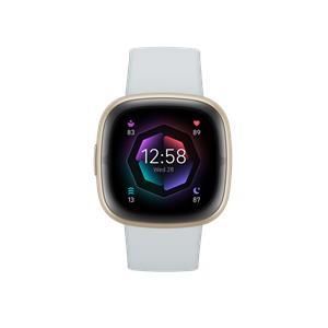 FitBit Sense 2 Smartwatch nebelblau/aluminium softgold