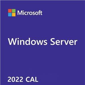 Microsoft Windows Server 2022 - OEM- 1 User CAL