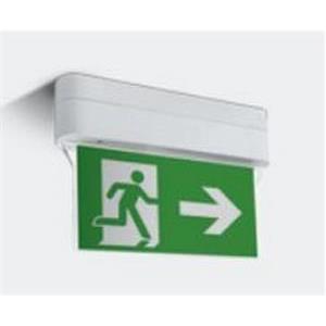 WHITE EMERGENCY LED 1W IP44 M3 hrs WALL/CEILING MOUNTED