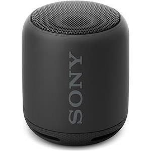 Sony SRS-XB100 crna