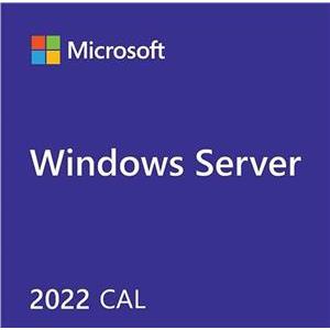 Windows Server CAL 2022 English 1pk DSP OEI 1 Clt User CAL