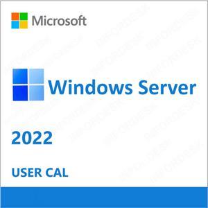 OEM Windows Server 2022 CAL 10 User