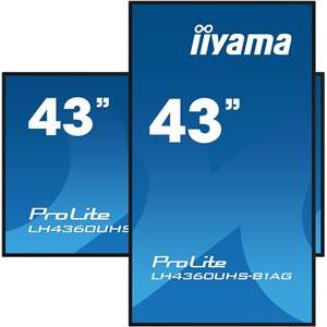 iiyama ProLite LH4360UHS-B1AG 43 Class (42.5 viewable) LED-backlit LCD display - 4K - for digital signage