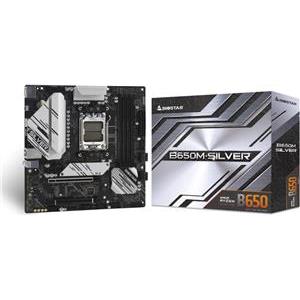 Biostar B650M-Silver (B650,AM5,mATX,DDR5)