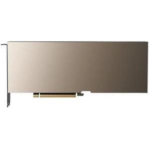 Grafička kartica PNY NVIDIA A10 Module 24GB PCIe Gen 4.0