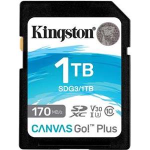 Canvas Go! Plus 1 TB SDXC (black, UHS-I U3, Class 10, V30)