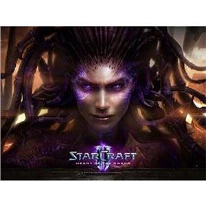 Igra Starcraft II: Heart of the Swarm, PC