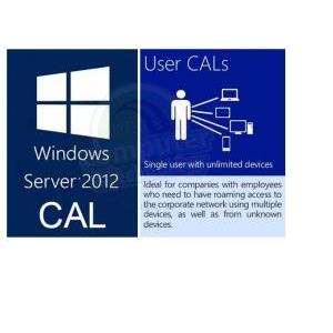Software OEM WinSvr CAL 2012 Eng 1 User CAL, R18-03737