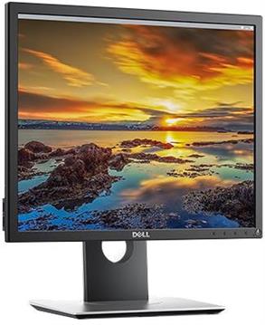 Monitor 19" Dell Flat LED Panel P1917S