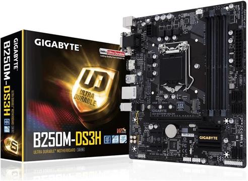 Matična ploča Gigabyte GA-B250M-DS3H, s1151, mATX