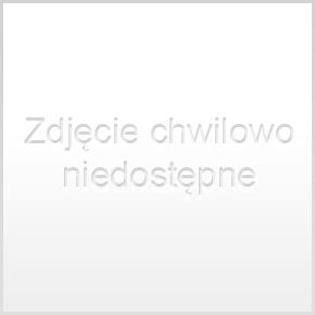 Lowepro Torba D-RES 100 PDA POUCH SILVER