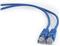 Gembird CAT5e UTP Patch cord, blue, 1 m