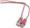 Gembird CAT5e UTP Patch cord, pink, 0,5 m