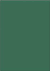 Papir u boji A4 300g pk50 Heyda 20-47164 59 tamno zeleni