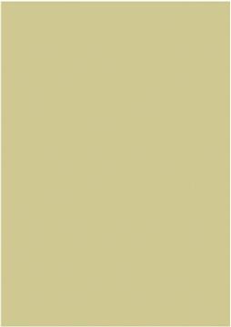 Papir u boji A4 300g pk50 Heyda 20-47165 94 zlatni