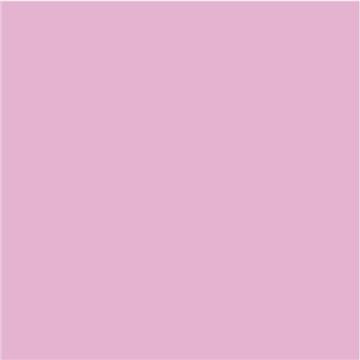 Papir u boji B1 200g Bristol Color pk10 Connect 170 rozi