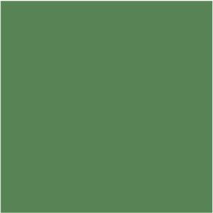 Papir u boji B1 200g Bristol Color pk10 Connect 41A zeleni