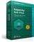 KASPERSKY Anti-Virus, 3D, licenca jedna godina