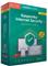 ESD Kaspersky Internet Security (1D) Upgrade ESD