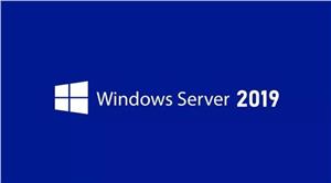 OLP Microsoft Windows Server Datacenter 2019 2Lic Core Open-NL Qlfd (LIC) 9EA-01045